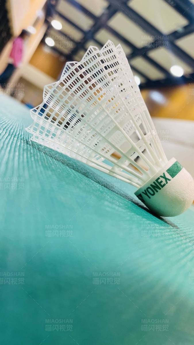 漂亮的羽毛球图片