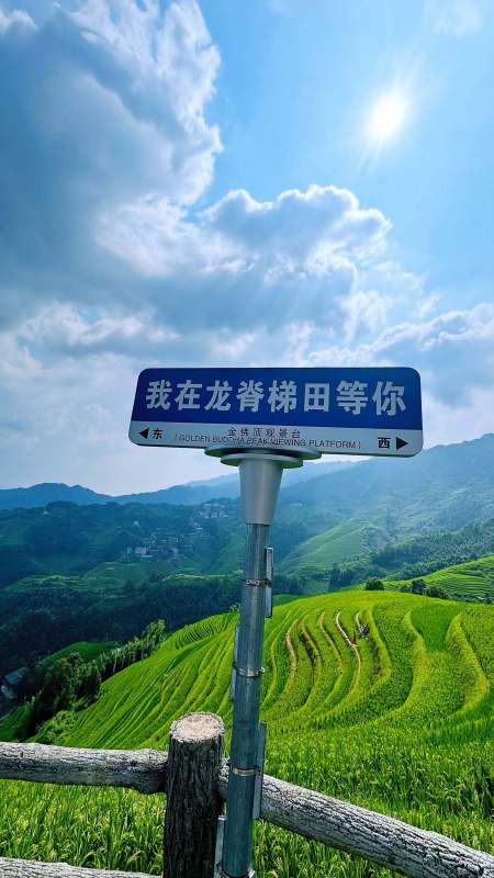 我在龙脊梯田等你图片