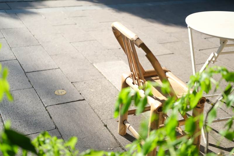 阳光下的木椅与绿叶图片