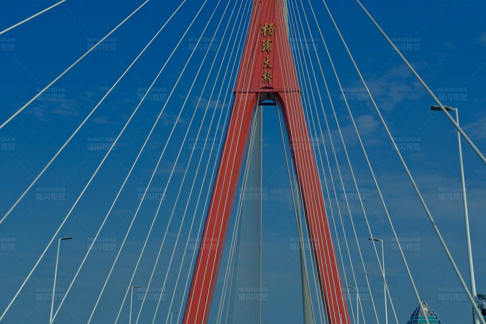 红色斜拉桥的特写照片图片