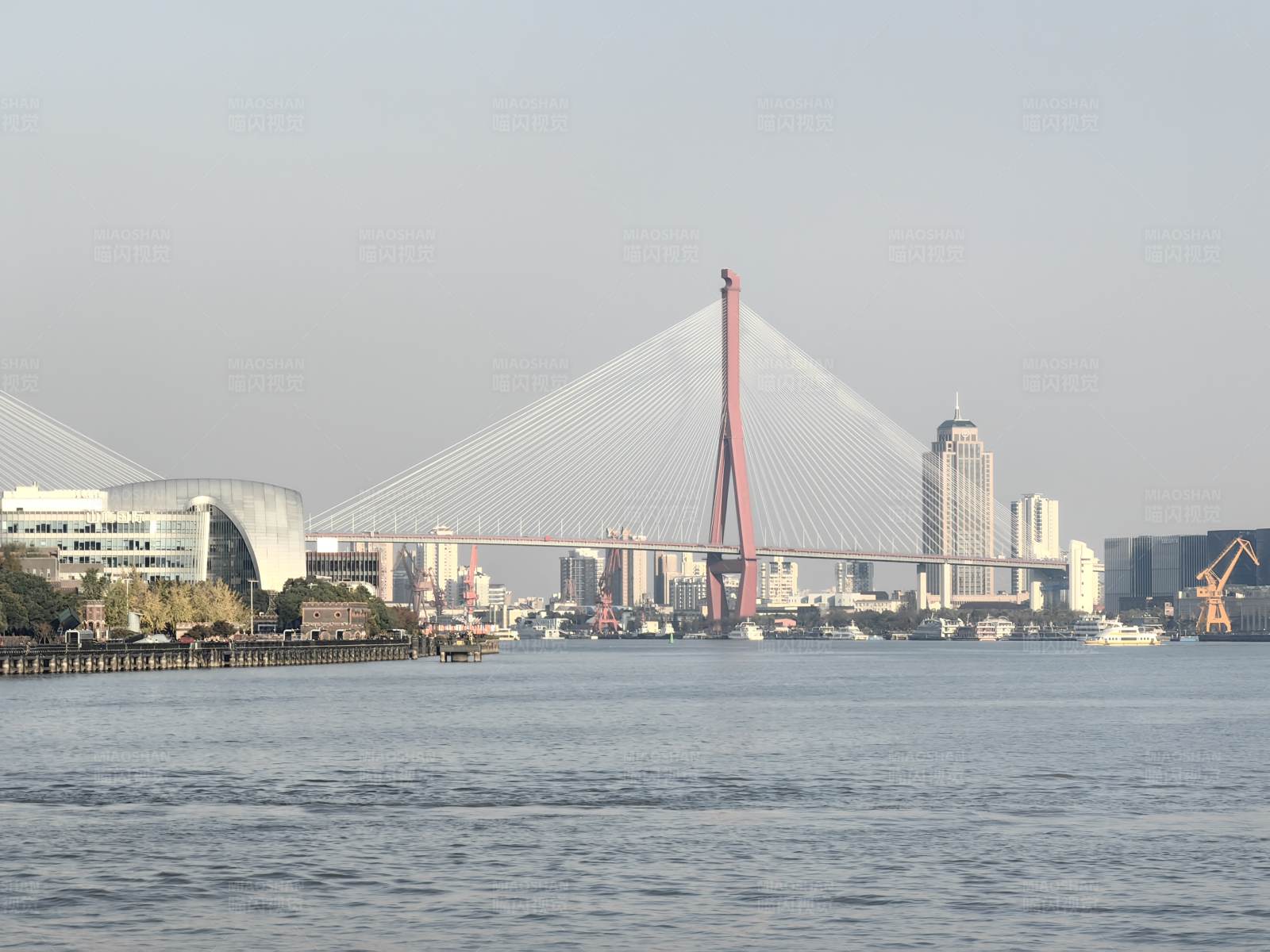 上海杨浦大桥图片