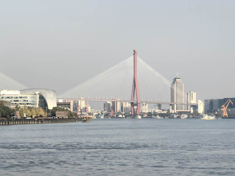 上海杨浦大桥图片