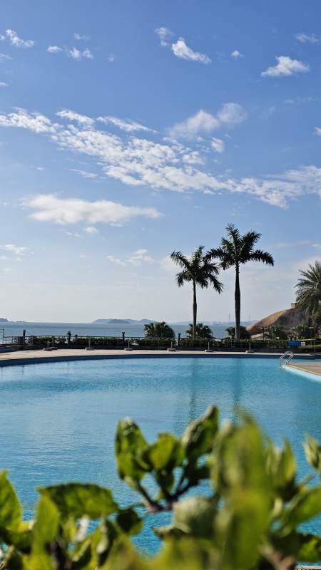 热带度假胜地的宁静泳池图片