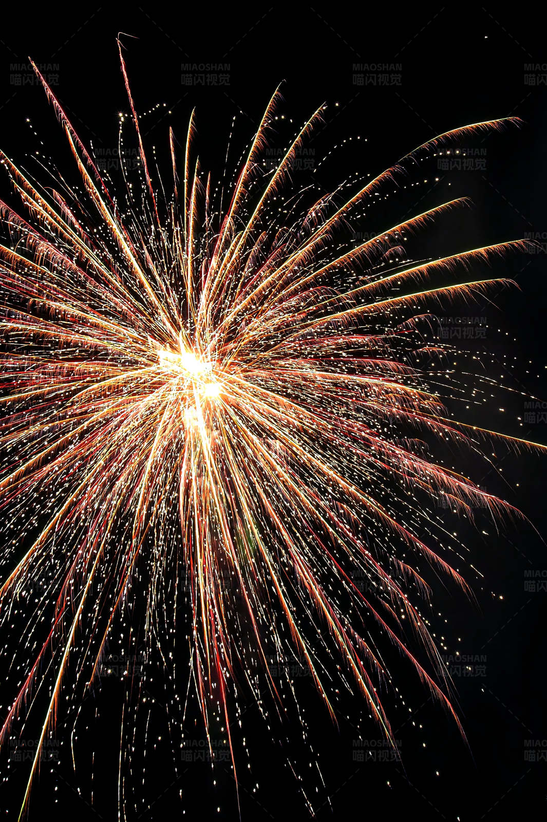 烟花绽放的瞬间图片