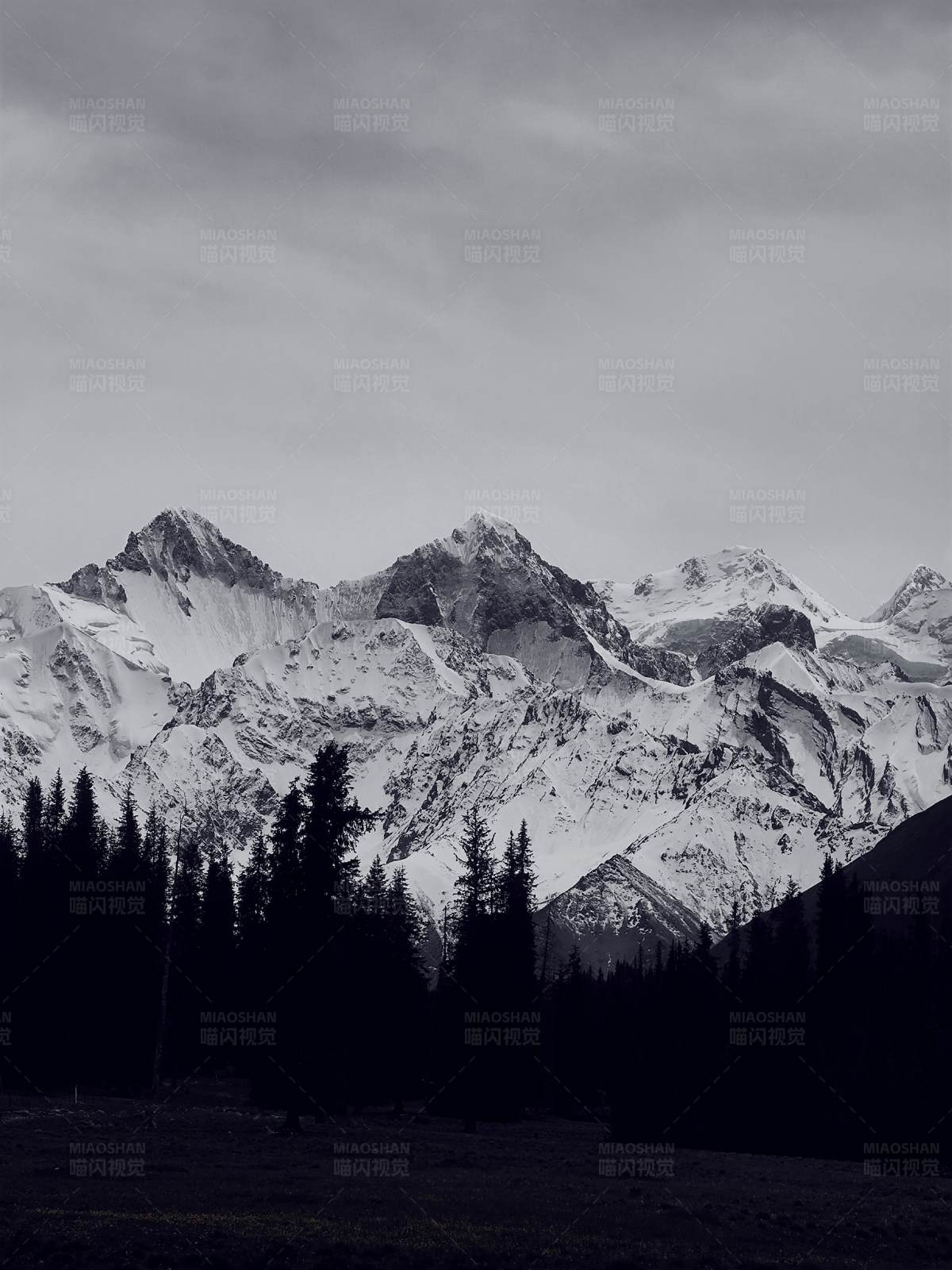 夏塔雪峰与森林的宁静之美图片