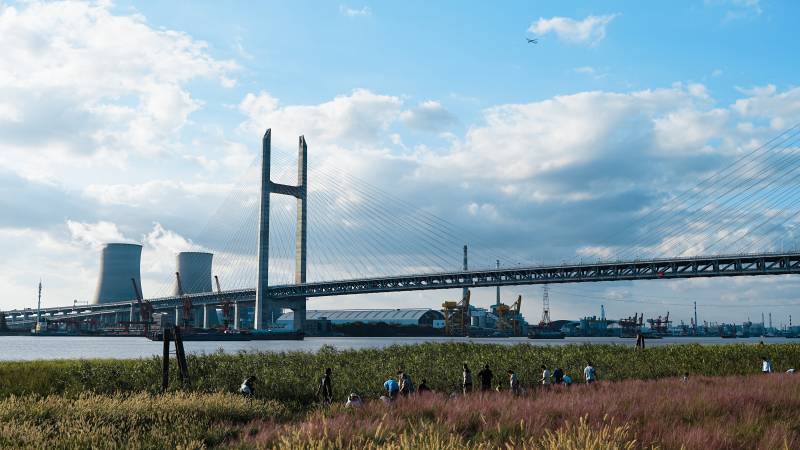 大桥下的草地--上海闵浦大桥图片