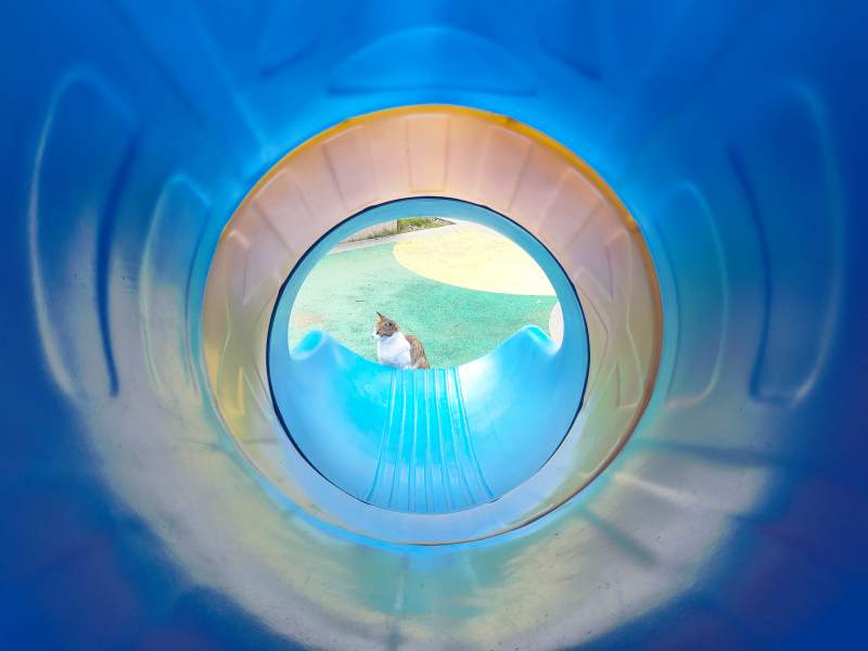 蓝色隧道尽头的风景图片