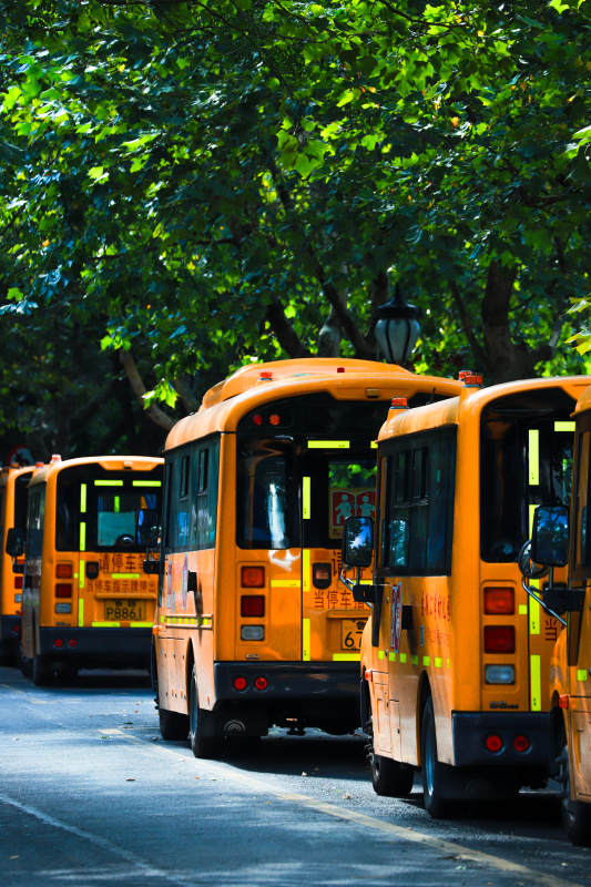 校车停在树荫下图片