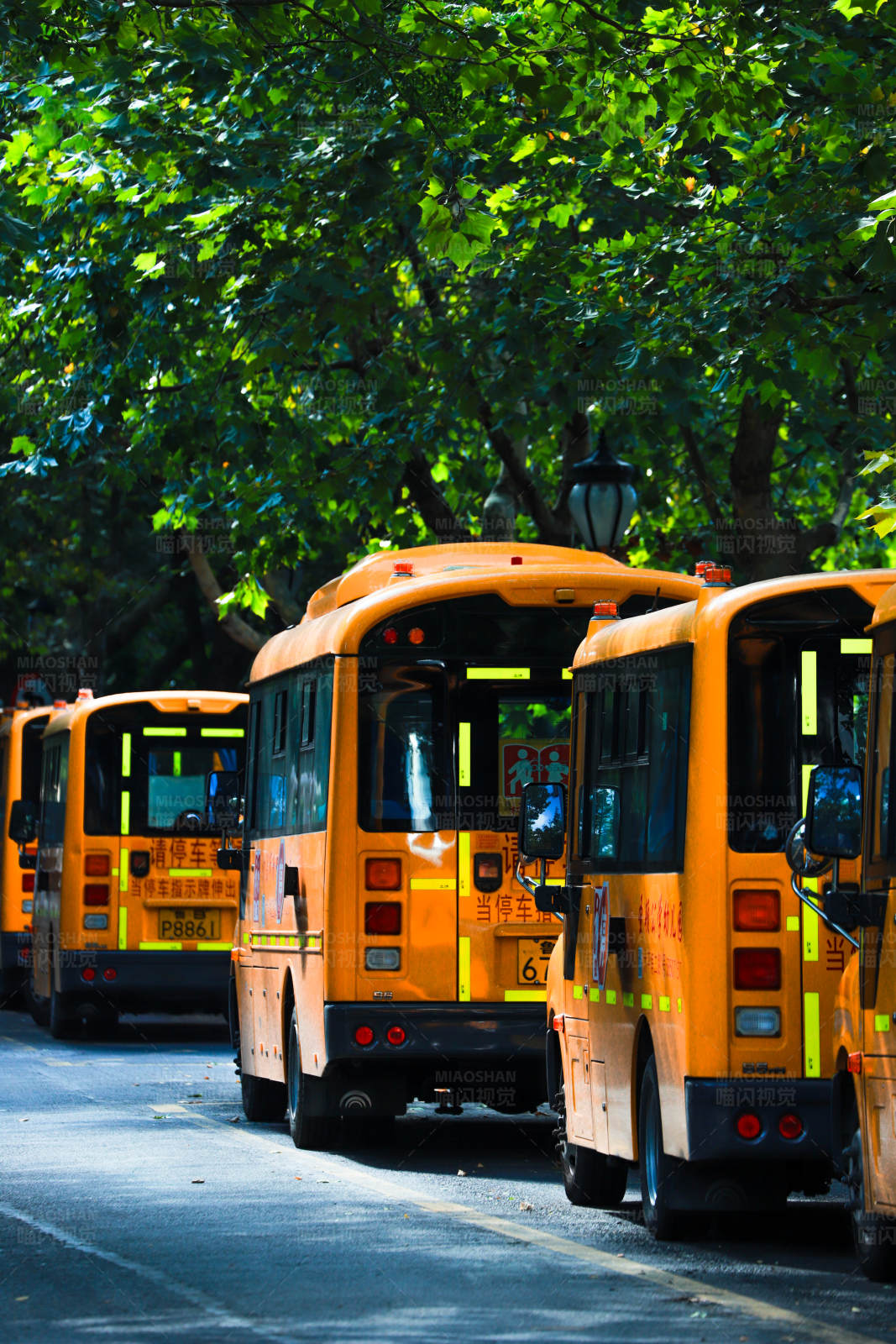 校车停在树荫下图片