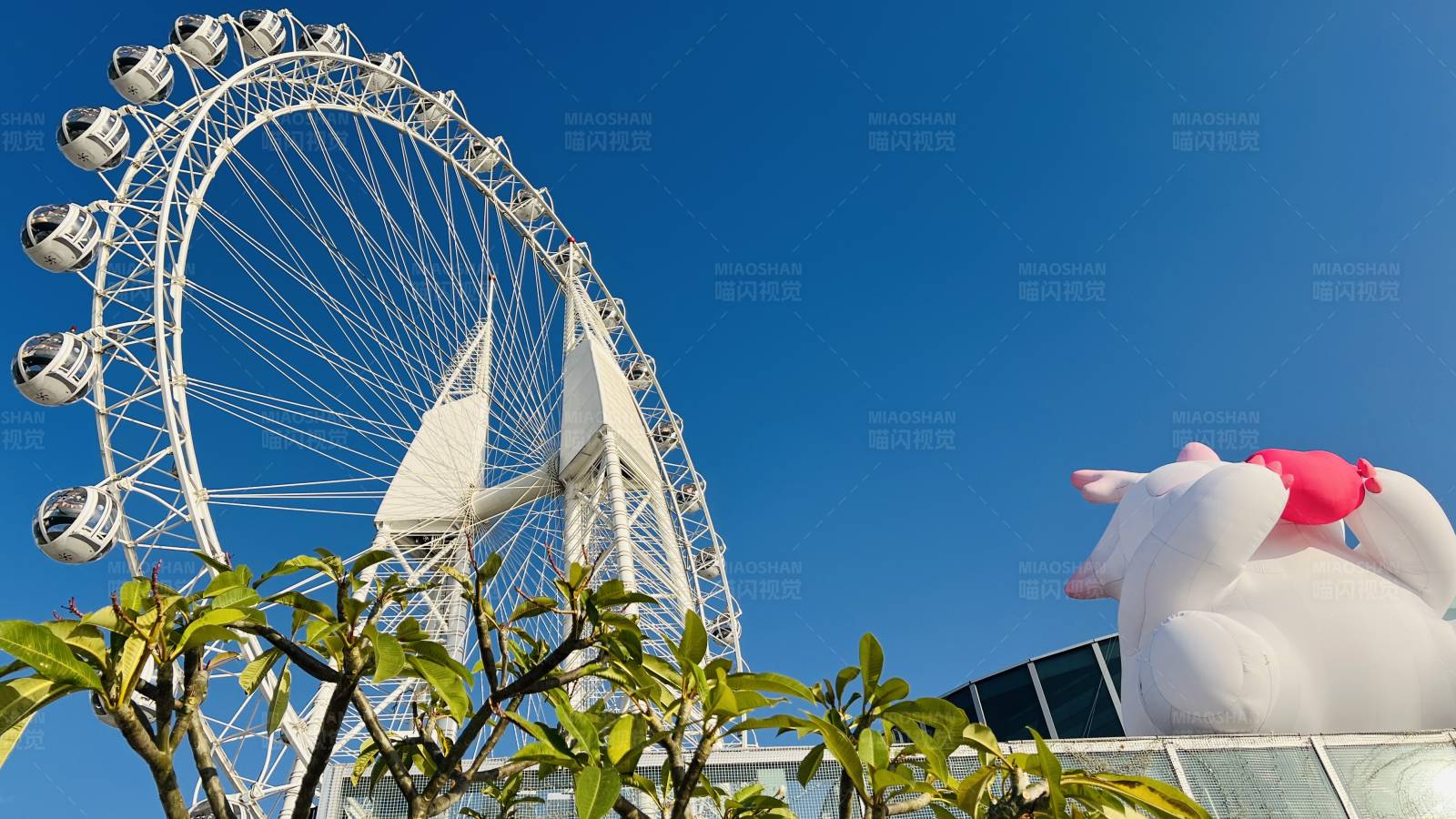 摩天轮与大象的奇妙相遇图片