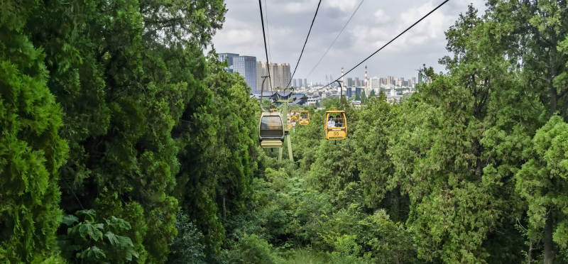 缆车穿越森林图片