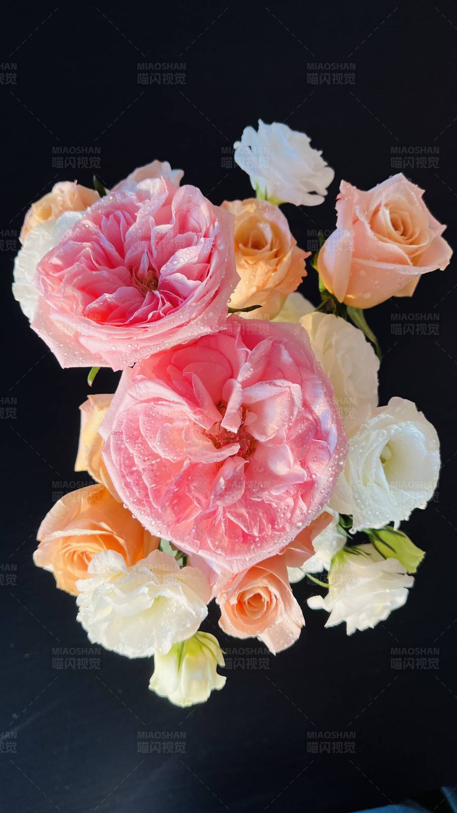 粉色与白色的玫瑰花束图片