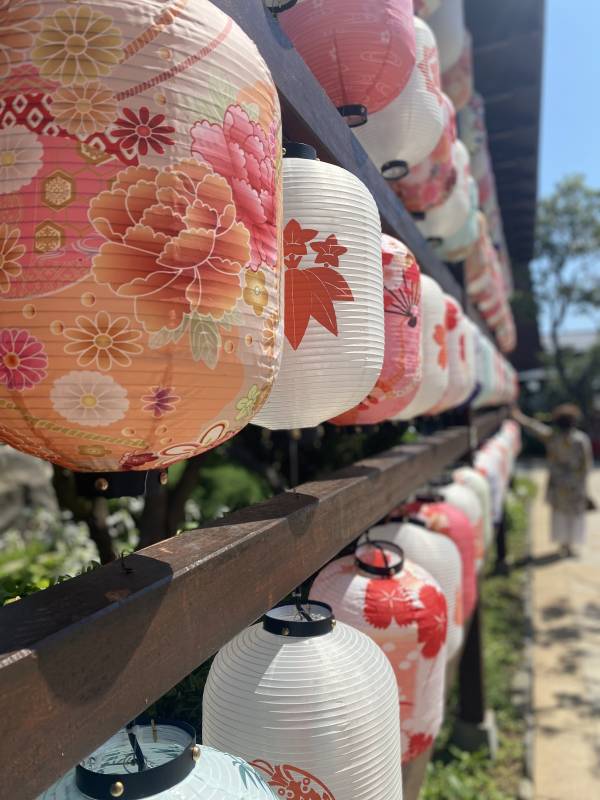 灯笼长廊 传统与美丽的结合图片