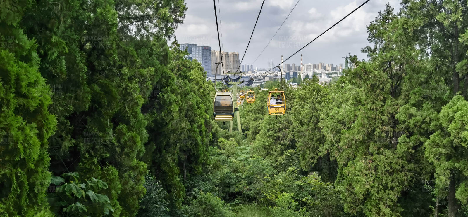 缆车穿越森林图片