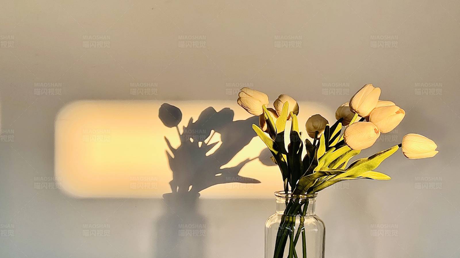 光影交错的花瓶与郁金香图片