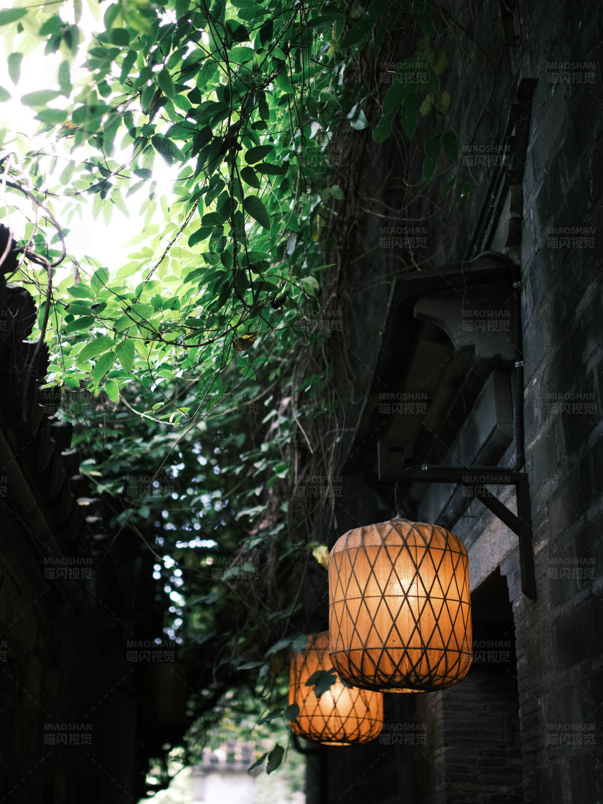 古巷灯笼与绿藤图片