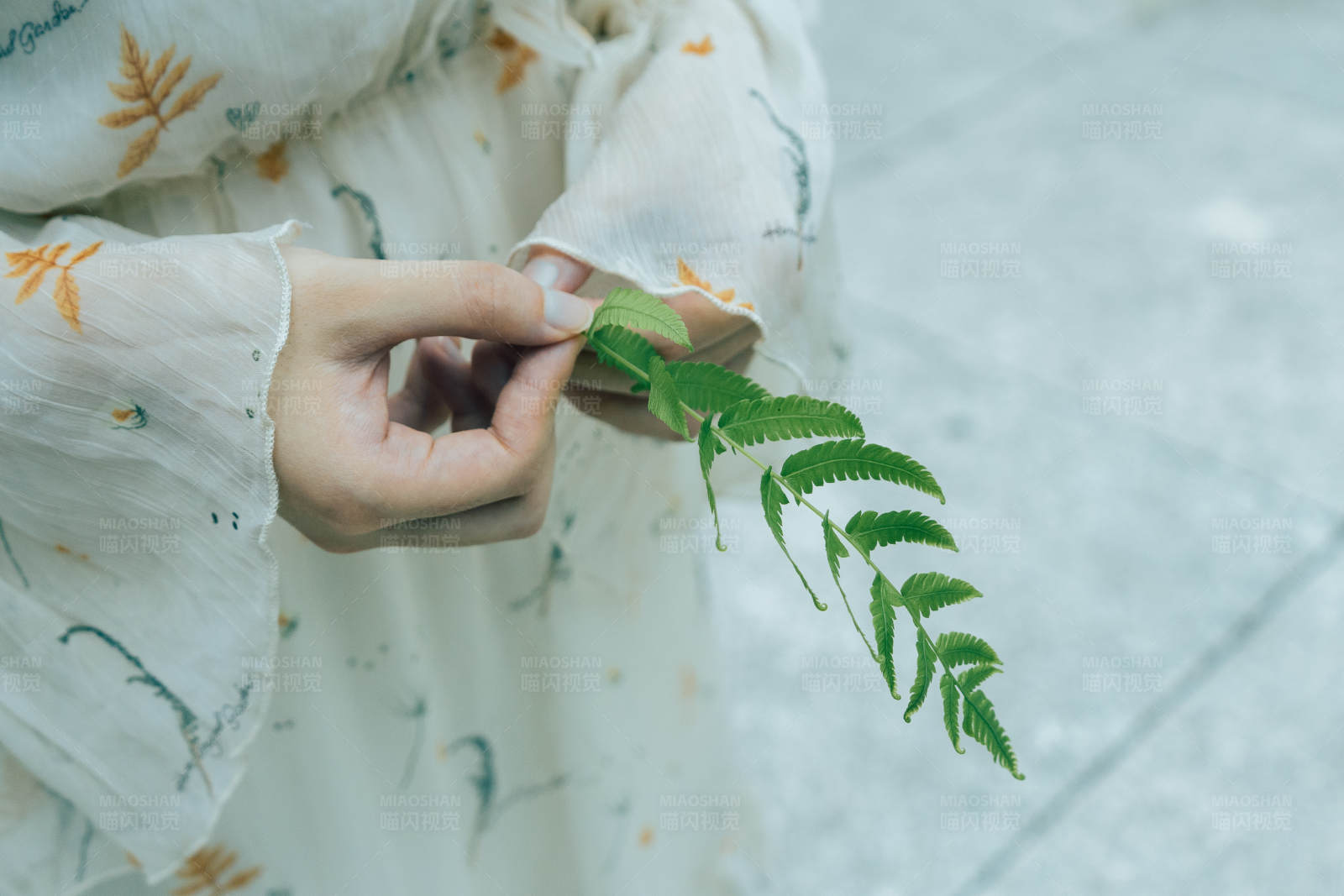 手握绿叶 自然之美图片