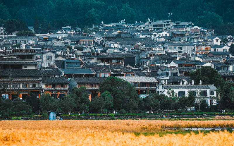 腾冲古镇与稻田的宁静之美图片