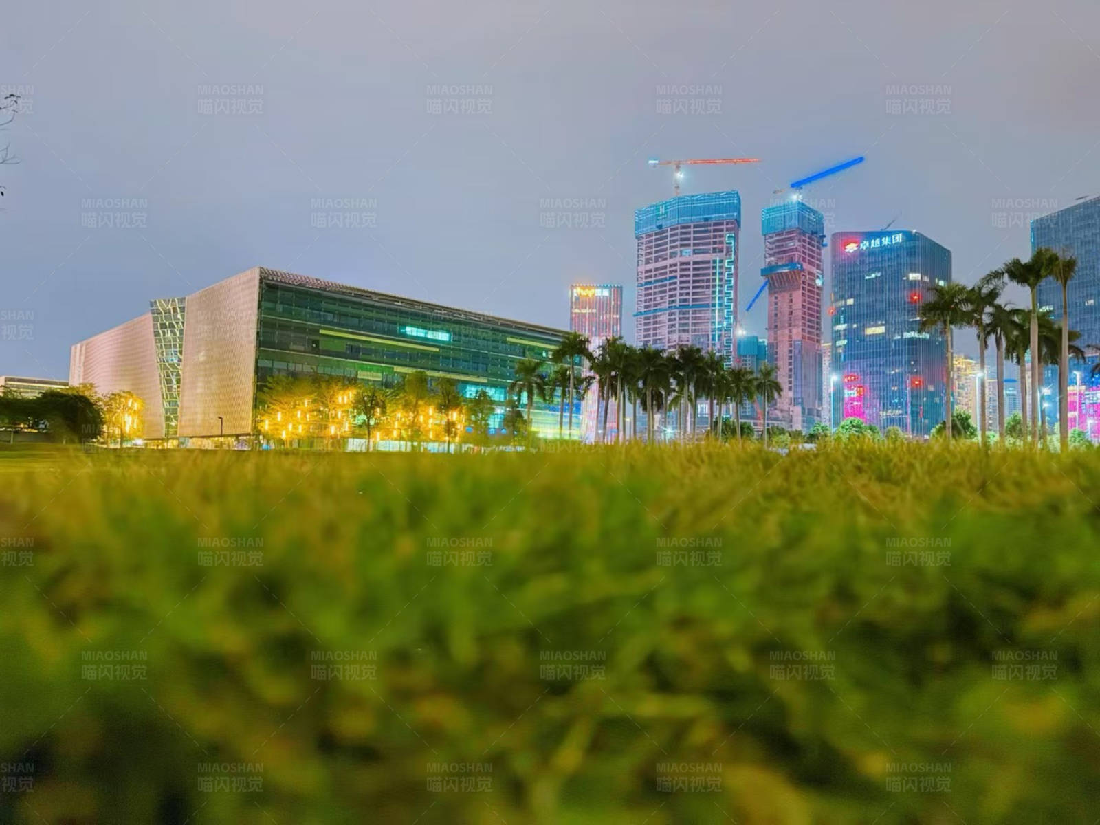 城市夜景与草地图片