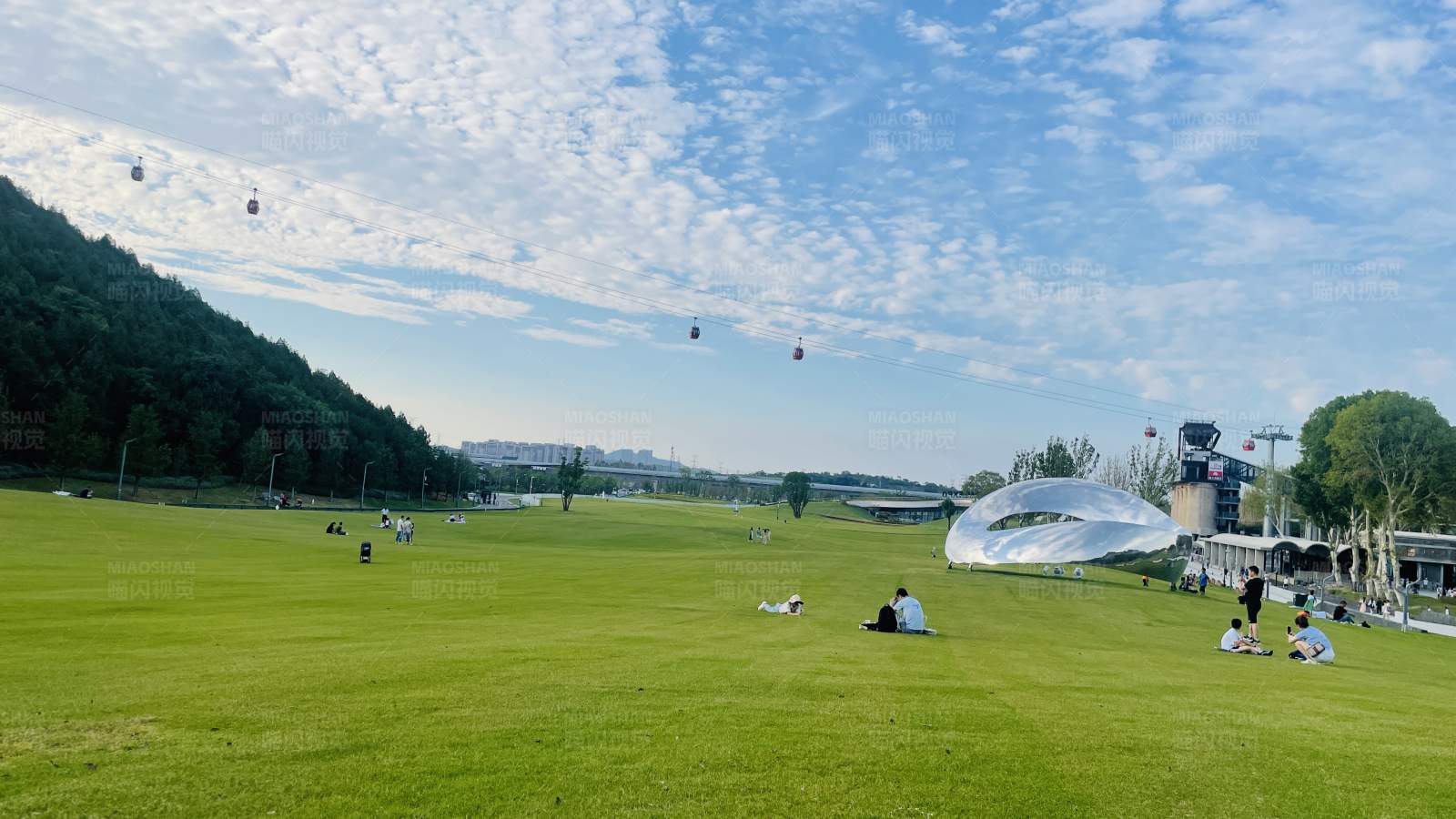 阳光草坪上的悠闲时光图片