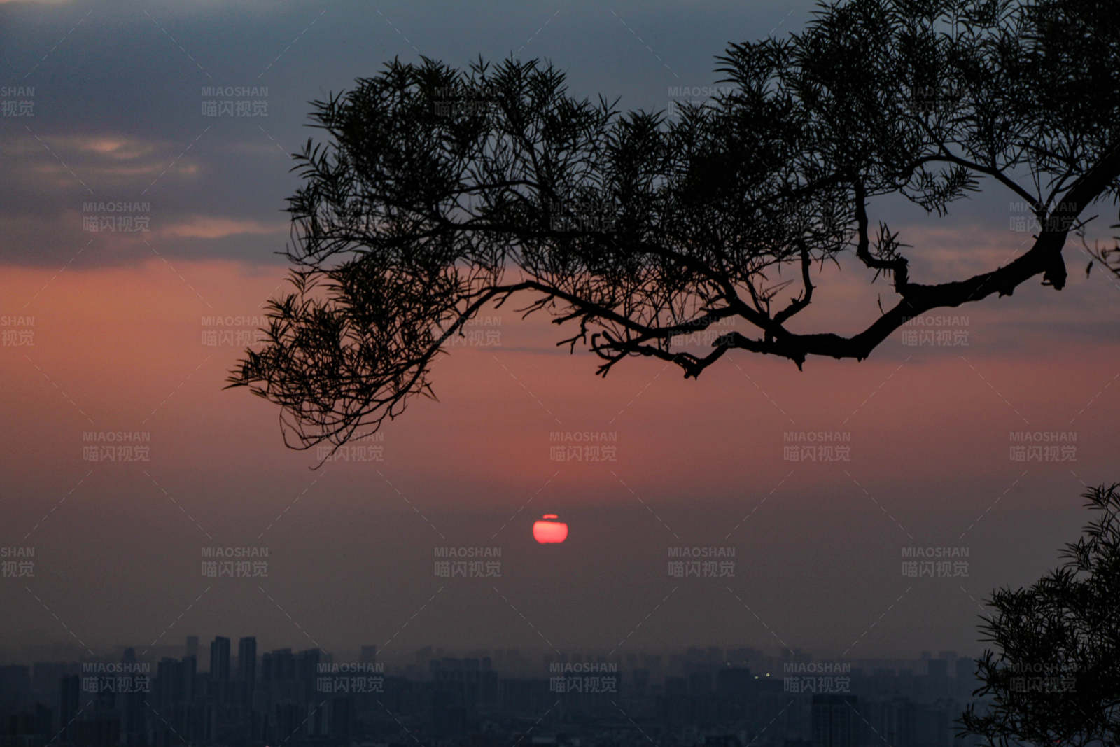 夕阳下的城市剪影图片