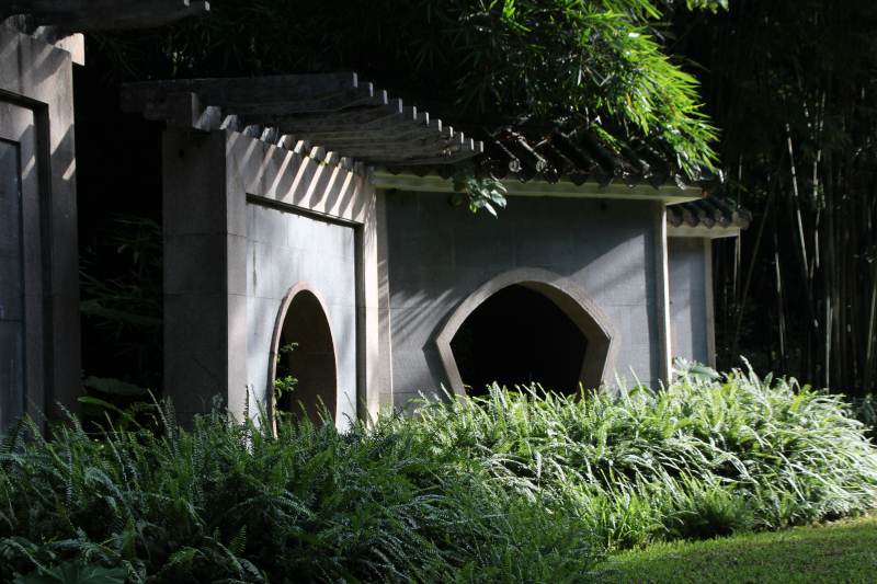 竹林中的小屋图片