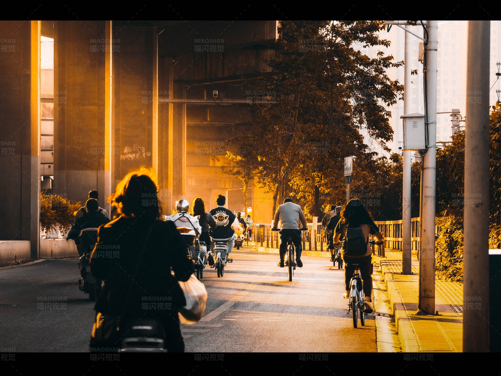 城市骑行 黄昏下的自行车道图片