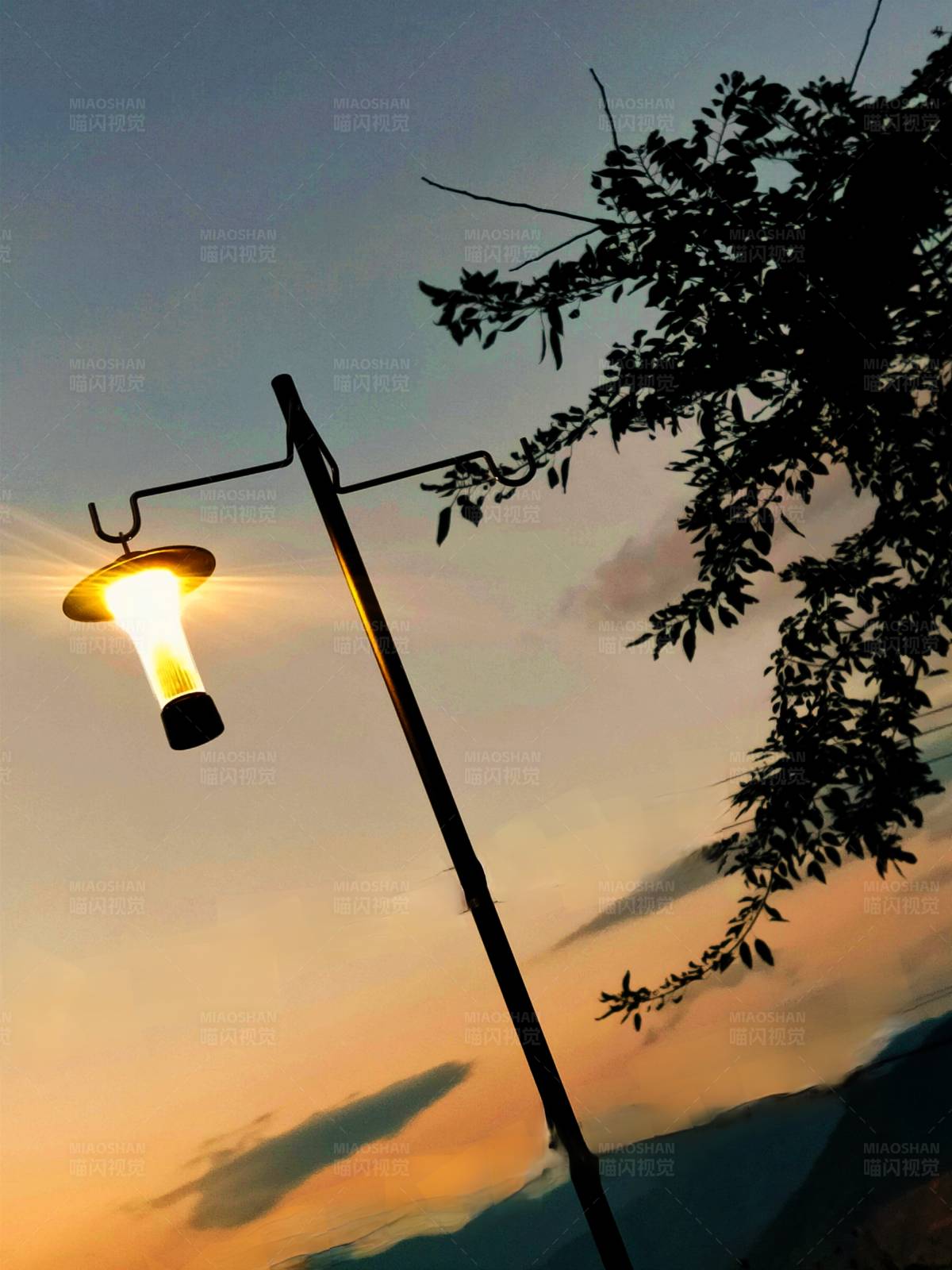 黄昏时分的路灯与树影图片