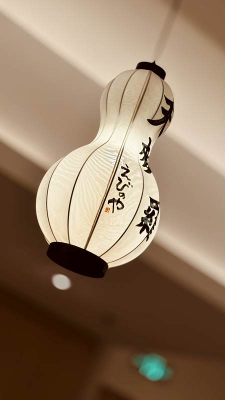 葫芦形灯笼图片