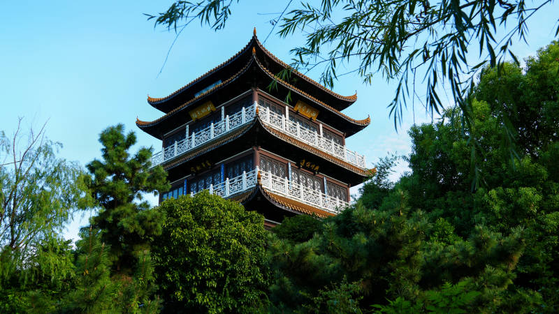 古塔耸立在绿树丛中图片