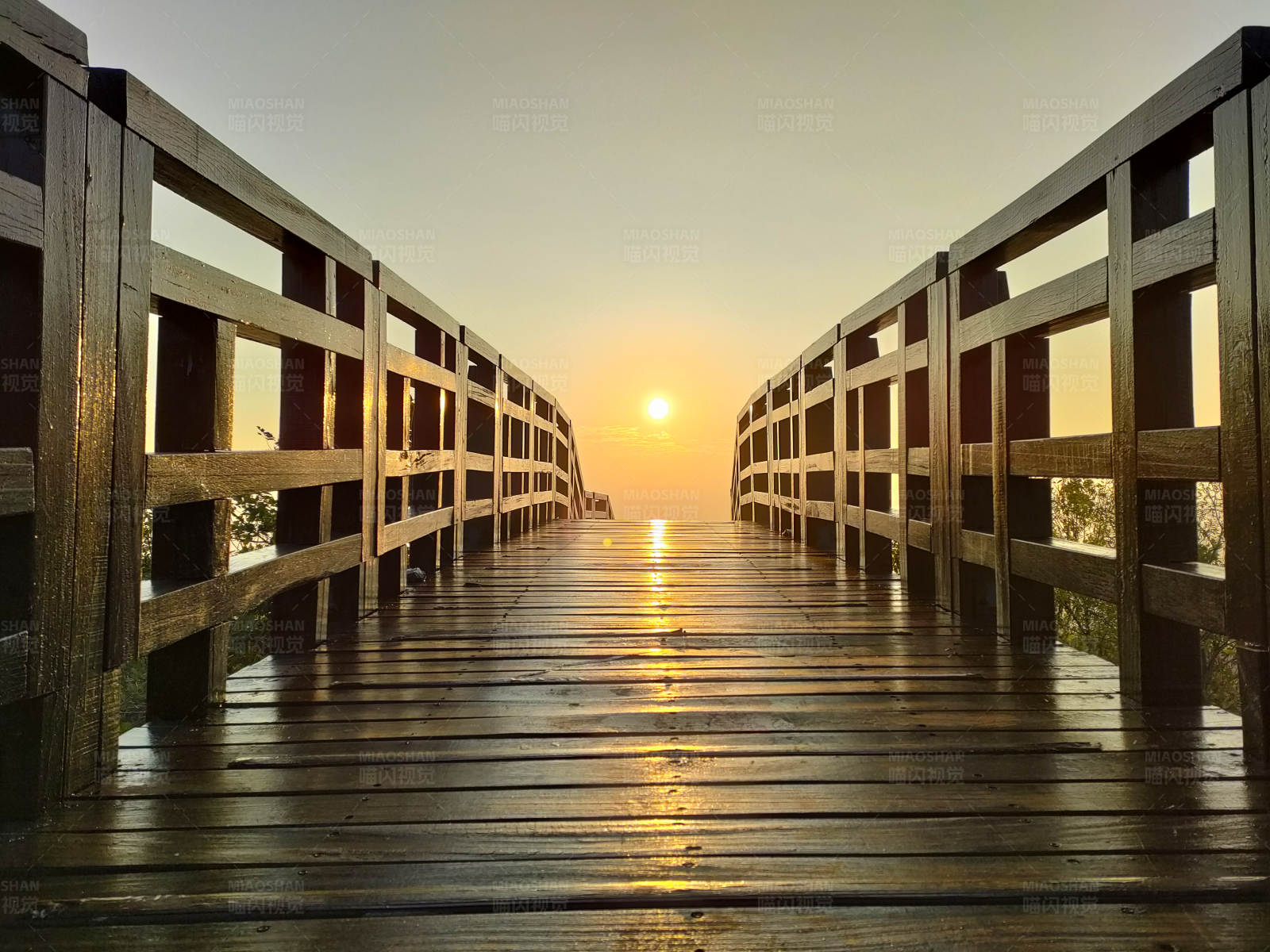 日出时的木桥图片