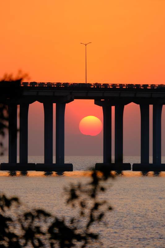 夕阳下的桥图片