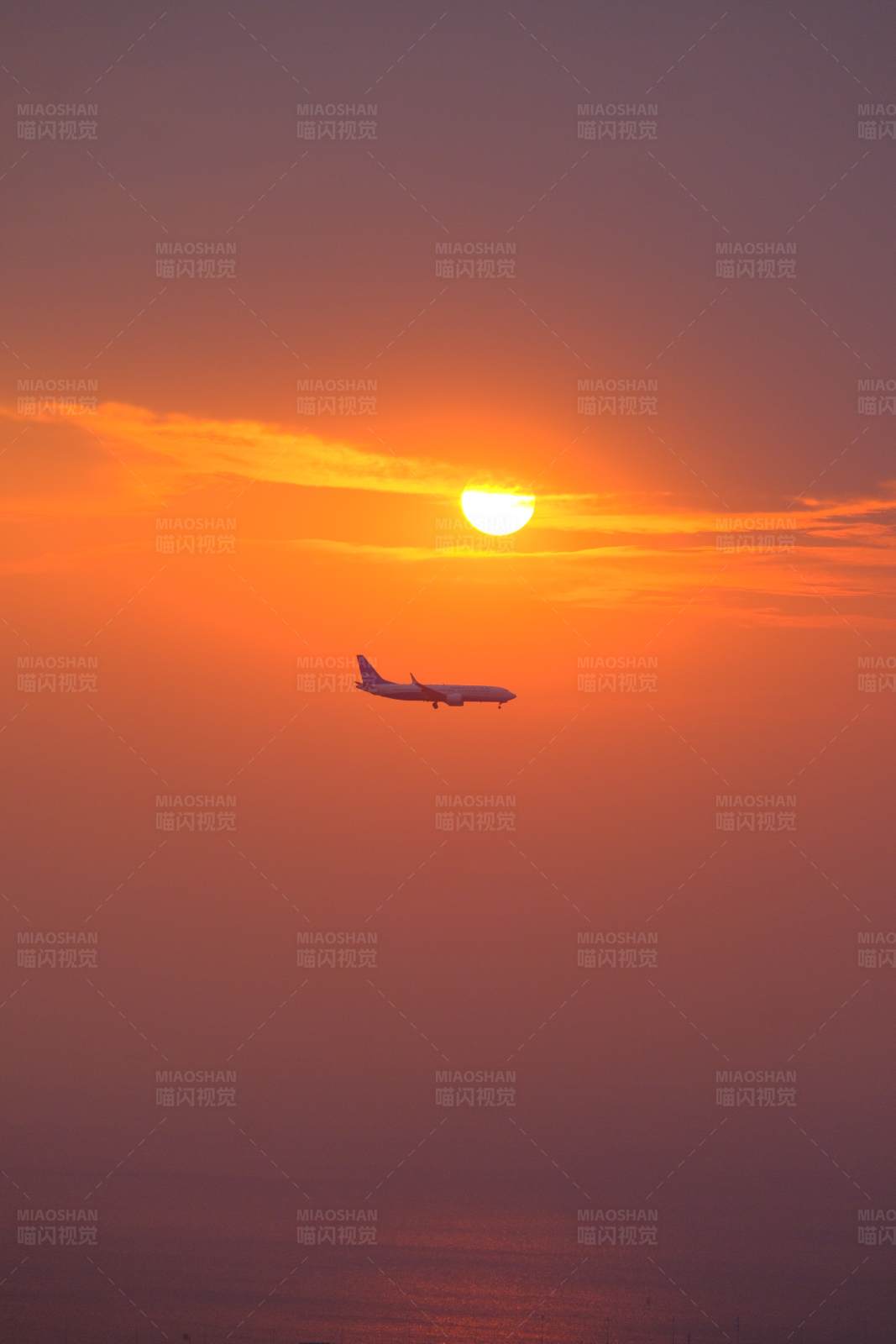 夕阳下的飞行图片