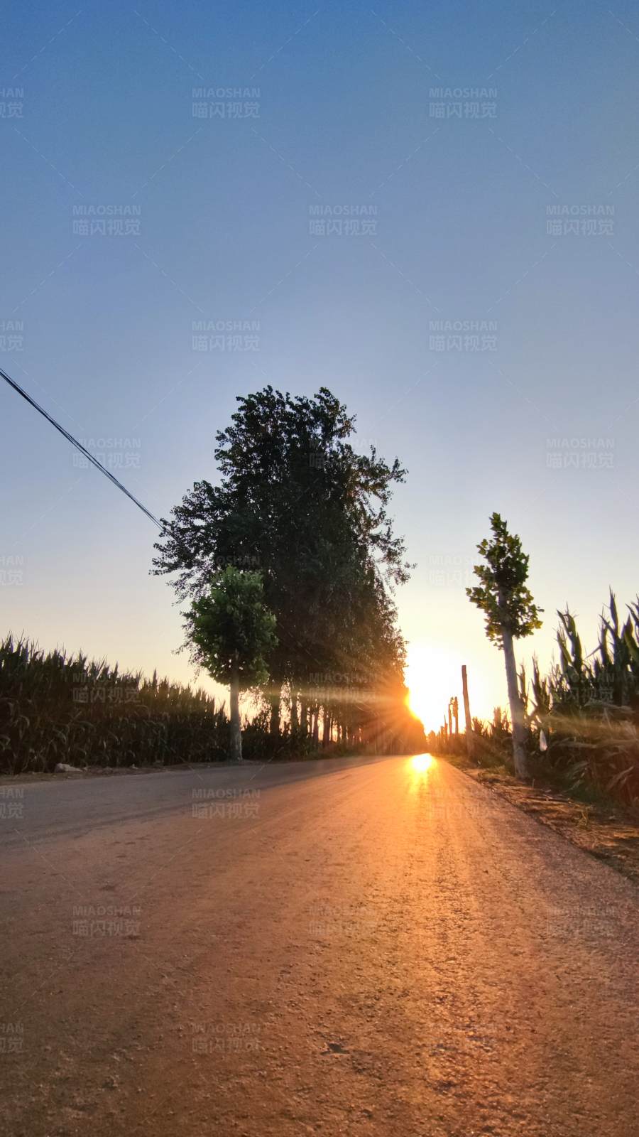 夕阳下的乡村小路图片