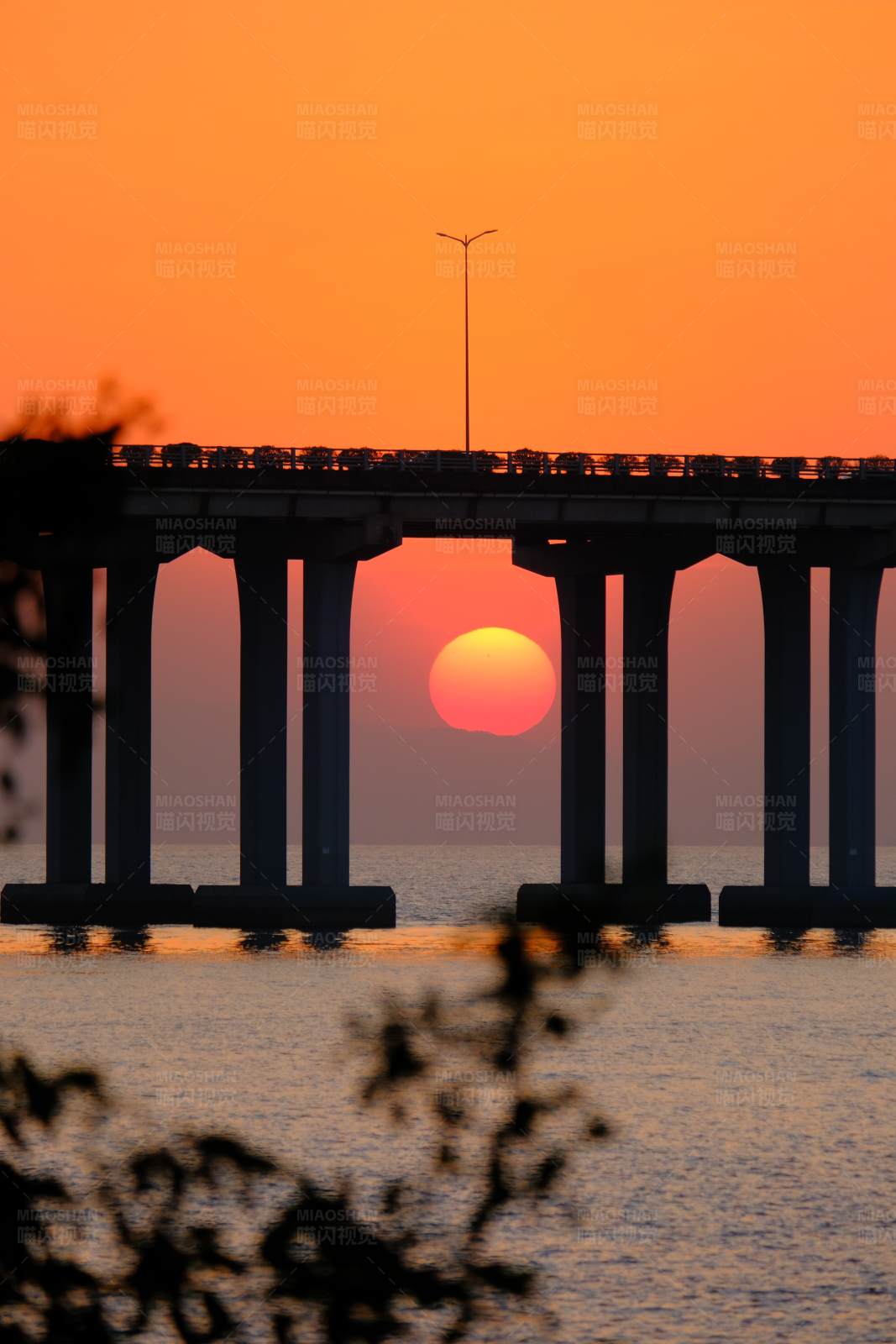夕阳下的桥图片