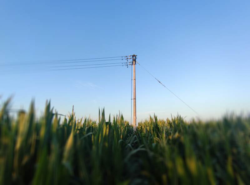 田野上的电线杆图片