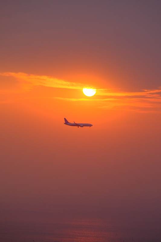 夕阳下的飞行图片