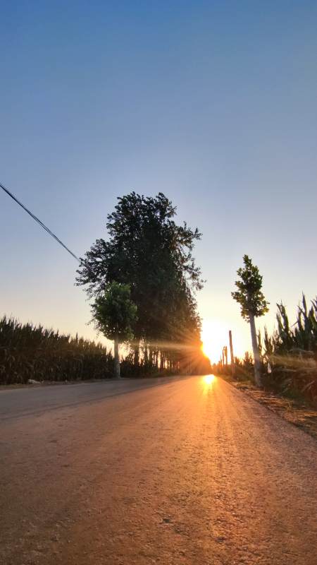 夕阳下的乡村小路图片