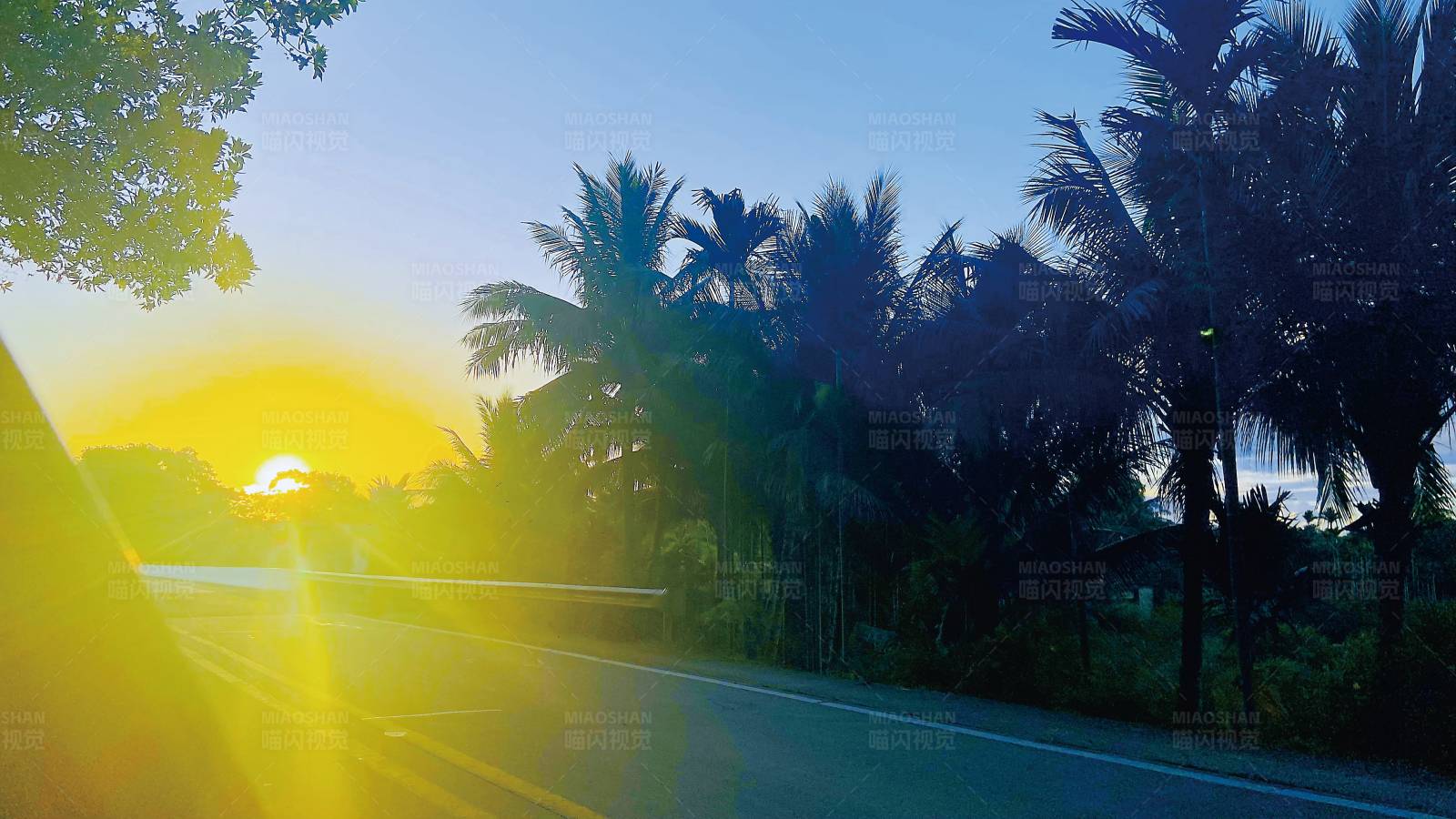夕阳下的热带公路图片