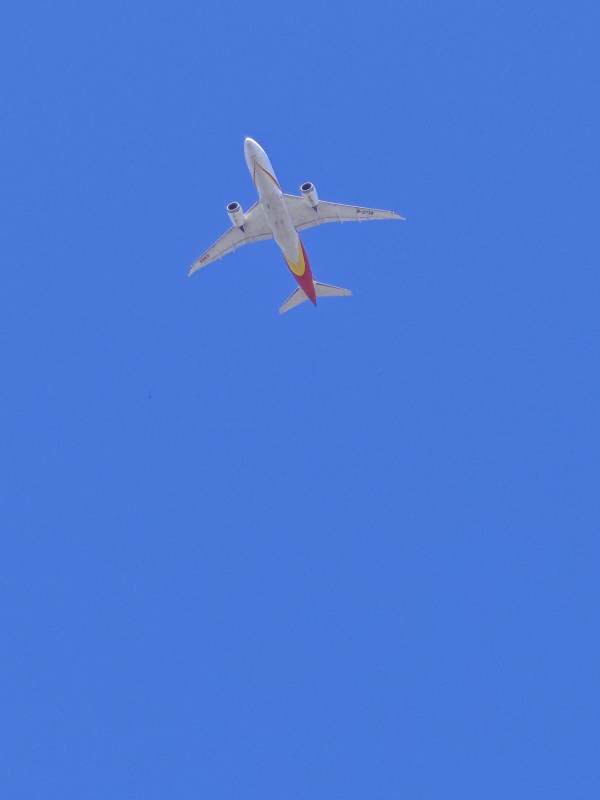 蓝天下的飞行图片