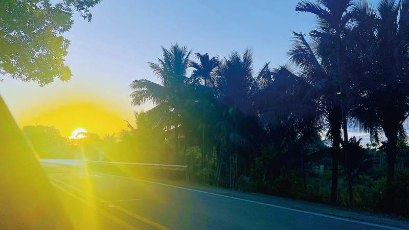 夕阳下的热带公路图片