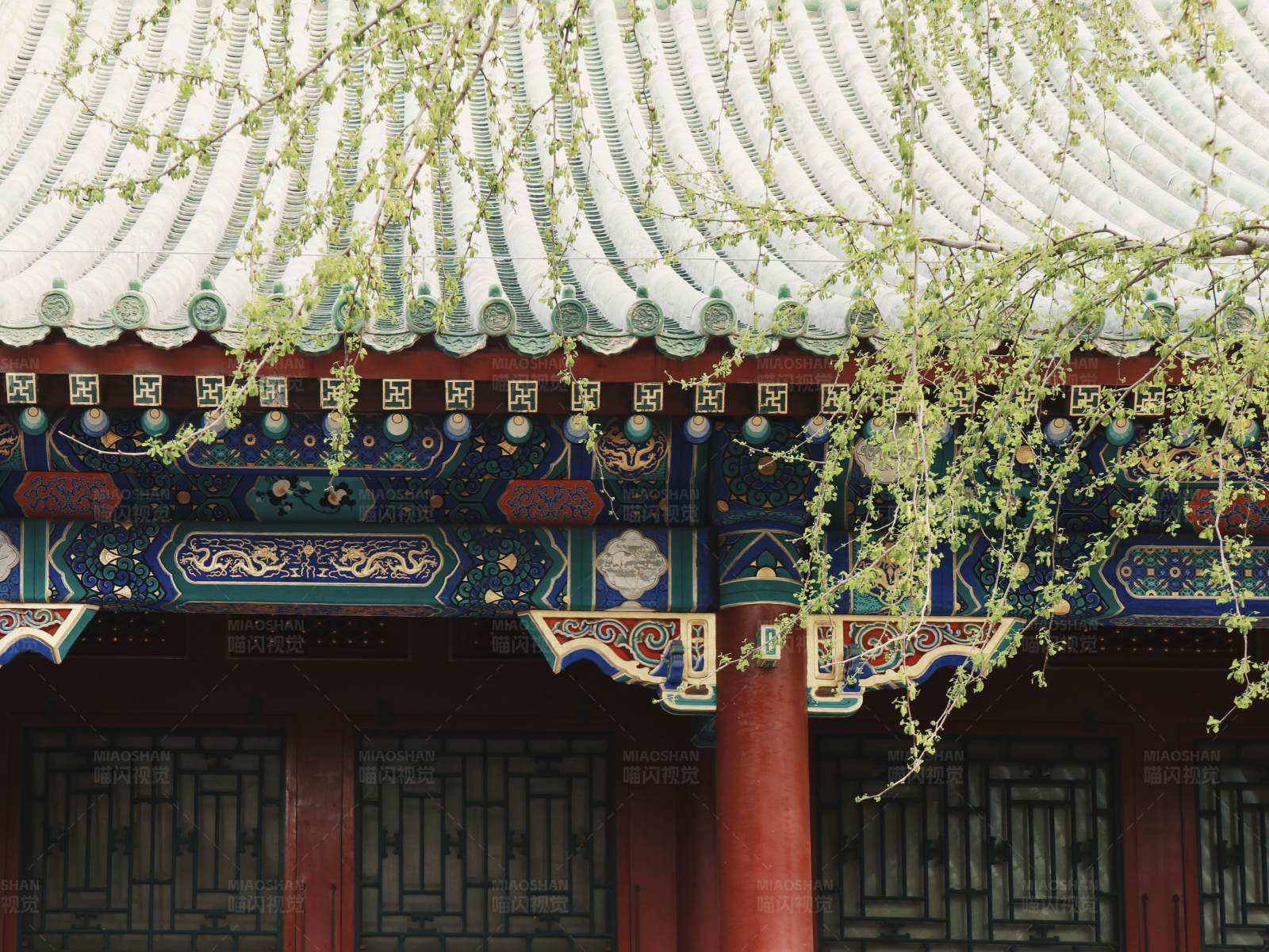 古建筑与柳枝图片