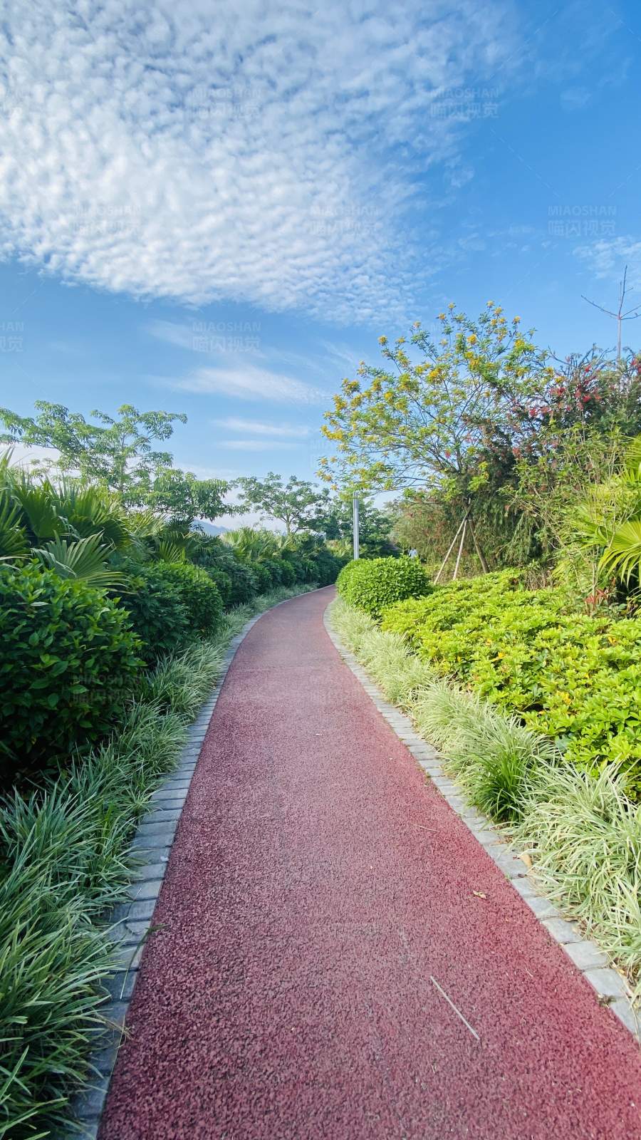 红跑道上的蓝天白云图片