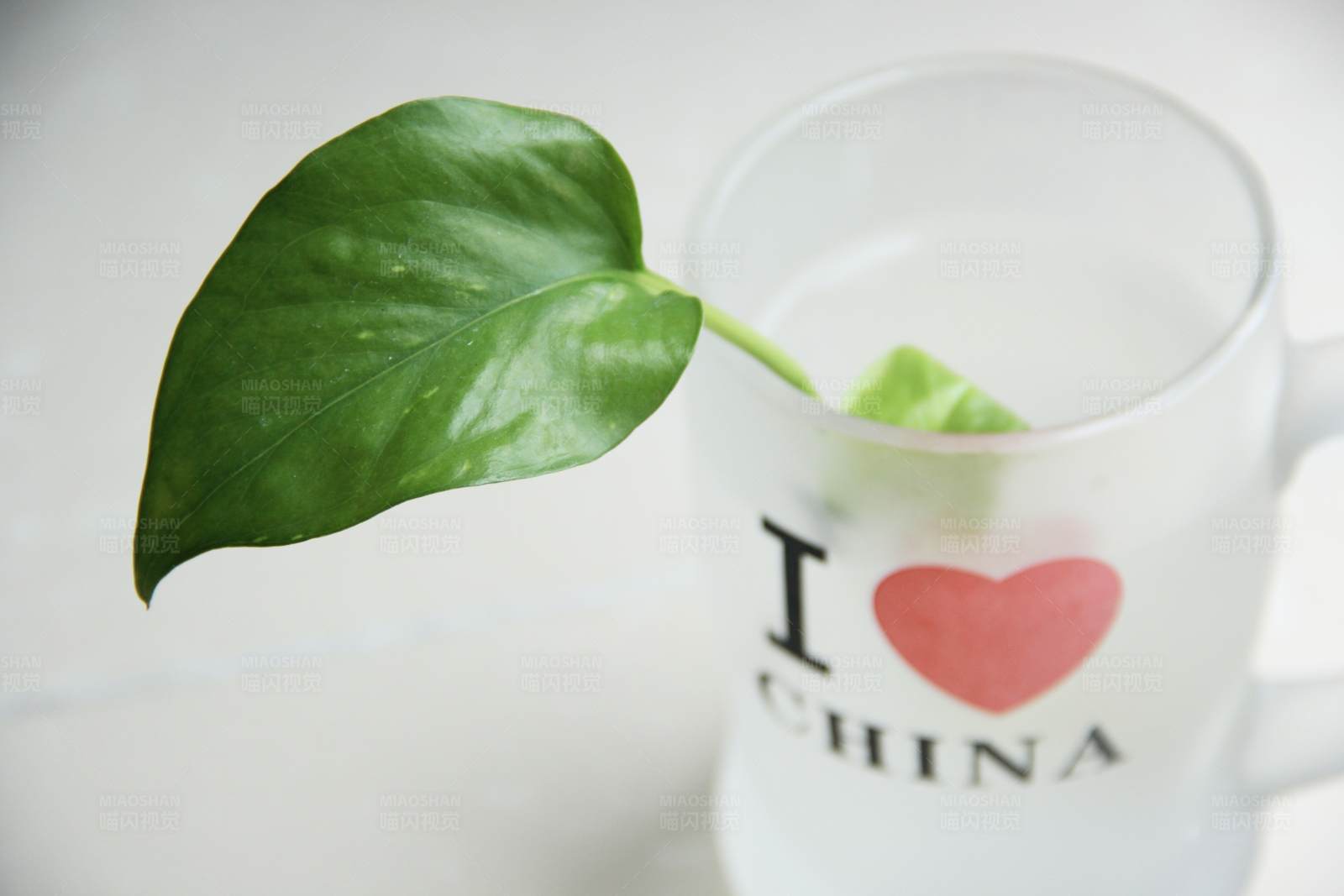 爱中国绿叶杯图片