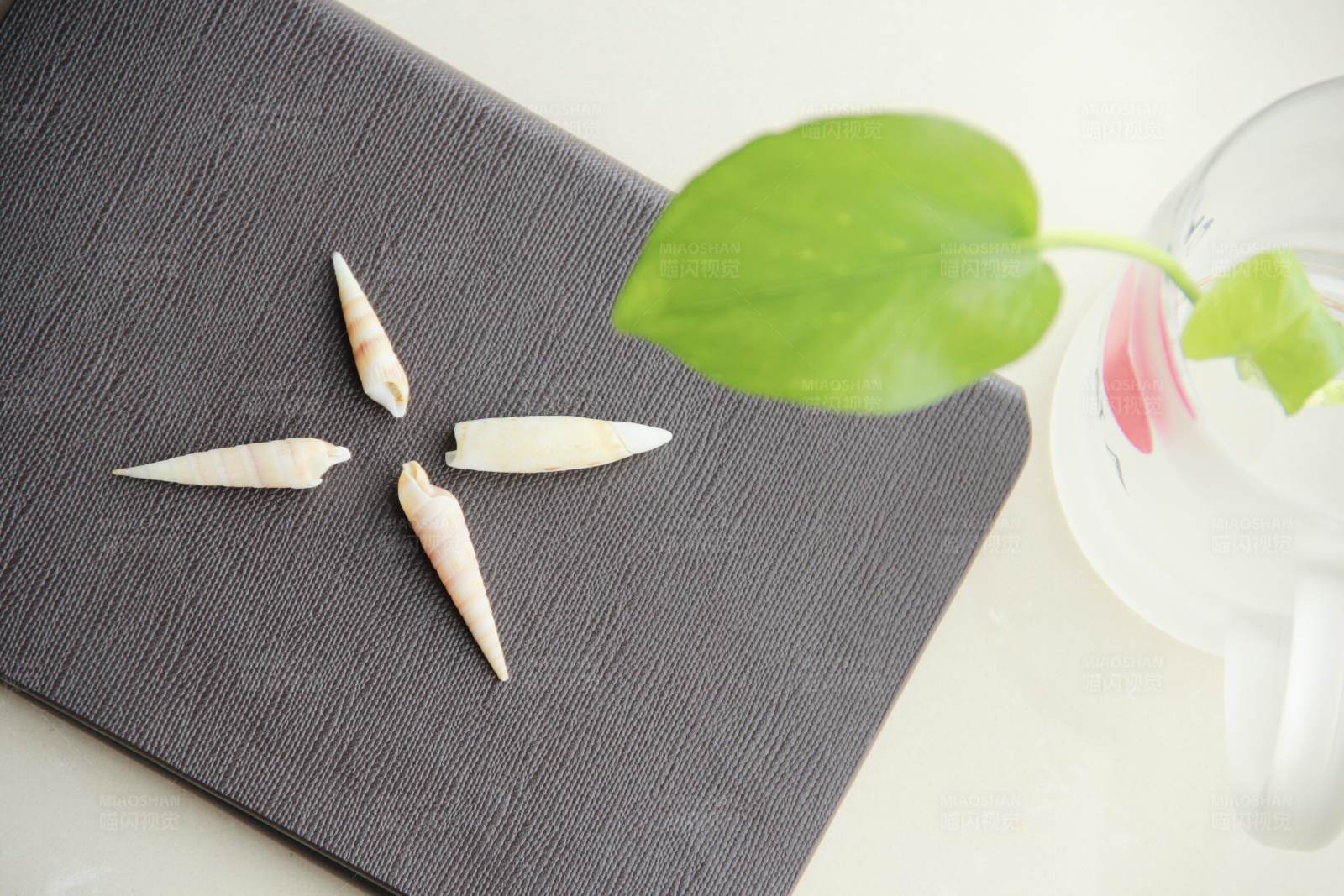 种子与绿叶图片