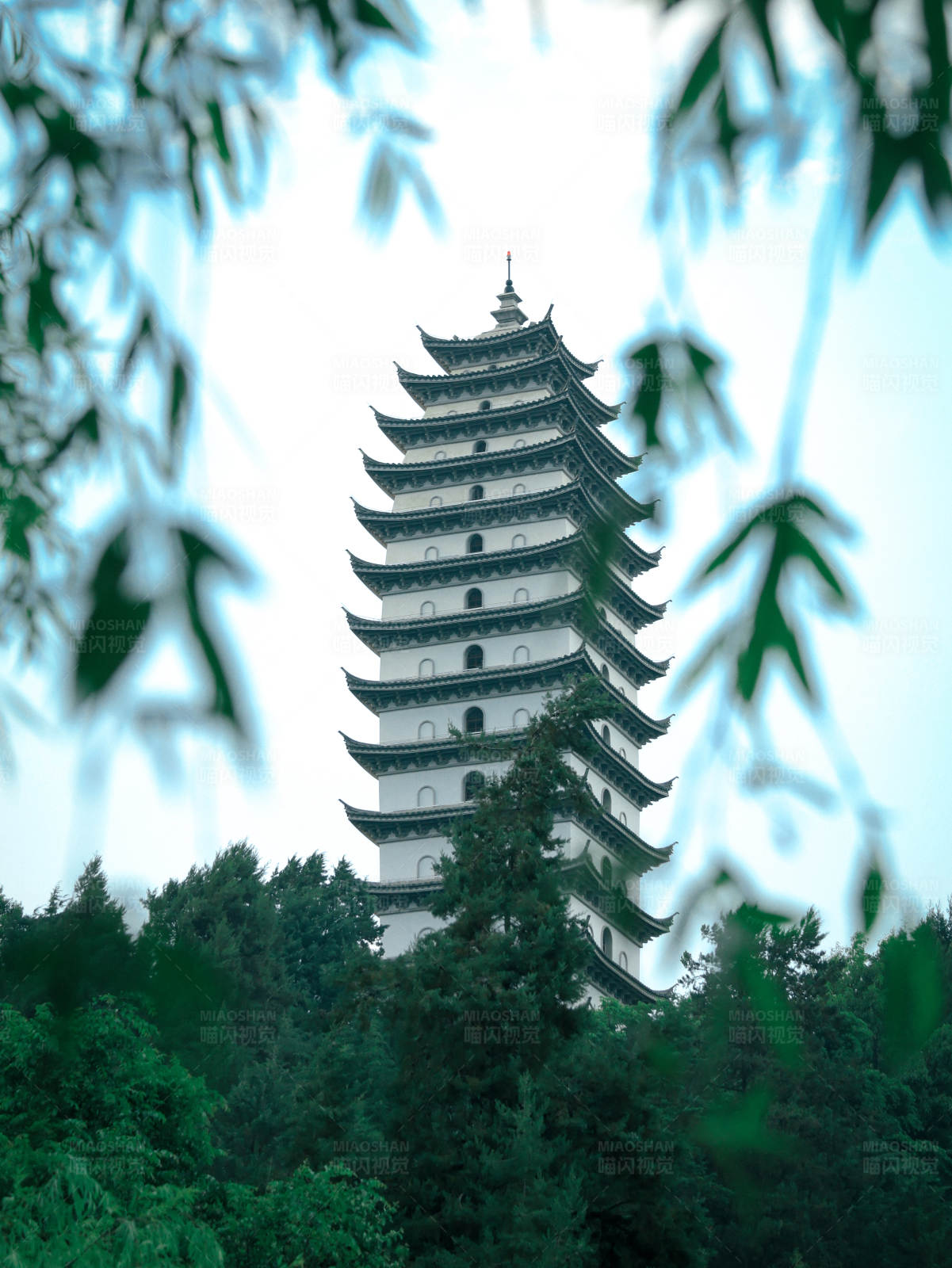 古塔隐于绿树间图片