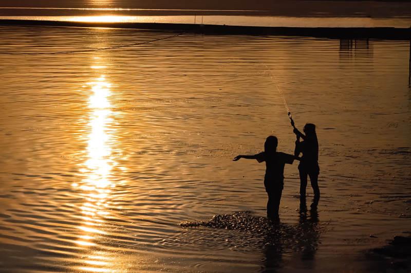 夕阳下的欢乐时光图片