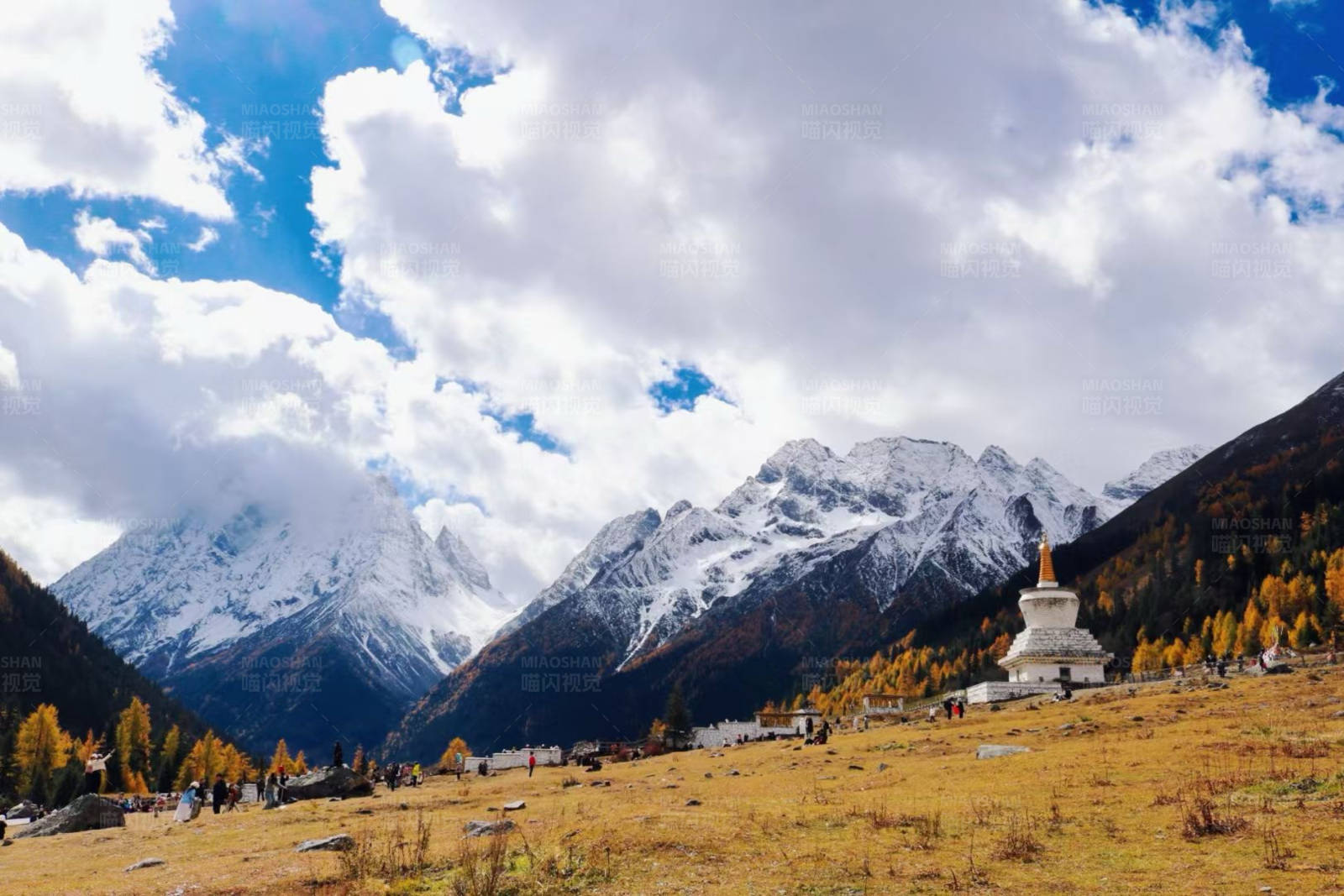 雪山下的金色秋天图片
