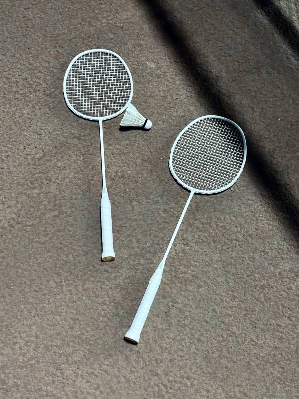 羽毛球拍与羽毛球图片