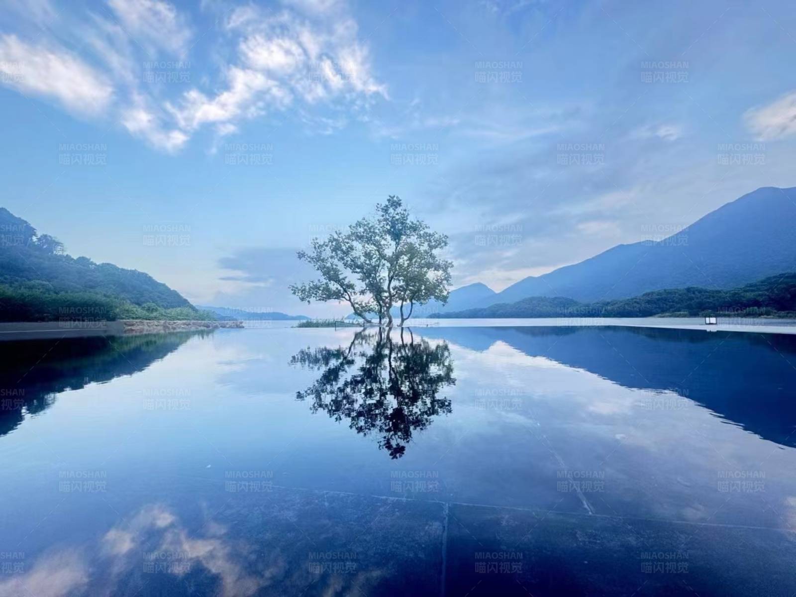 湖中孤树映蓝天图片